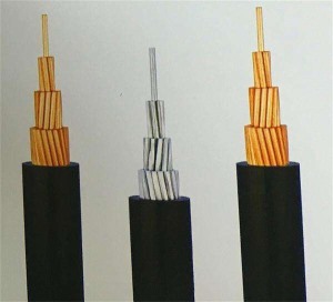 交联聚乙烯绝缘电力电缆