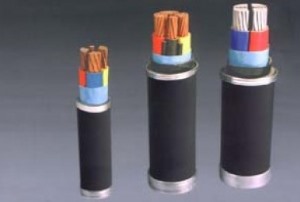 聚氯乙烯绝缘聚氯乙烯护套电力电缆